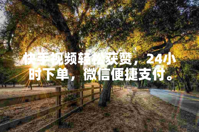 快手视频轻松获赞，24小时下单，微信便捷支付。