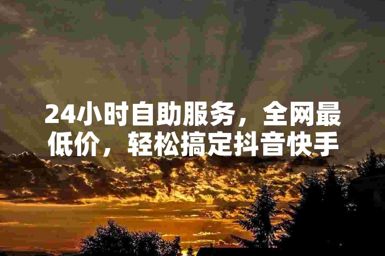 24小时自助服务，全网最低价，轻松搞定抖音快手业务。