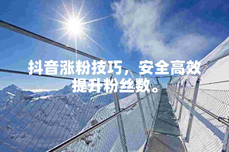 抖音涨粉技巧，安全高效提升粉丝数。