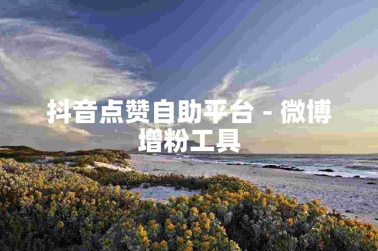 抖音点赞自助平台 - 微博增粉工具