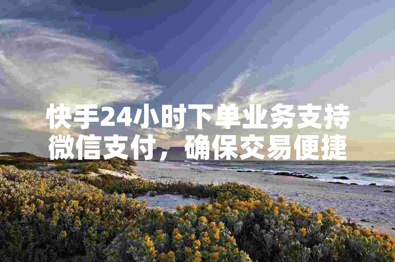 快手24小时下单业务支持微信支付，确保交易便捷。