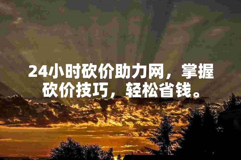 24小时砍价助力网，掌握砍价技巧，轻松省钱。