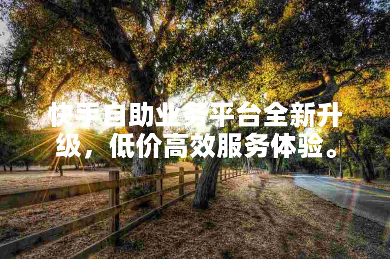 快手自助业务平台全新升级，低价高效服务体验。