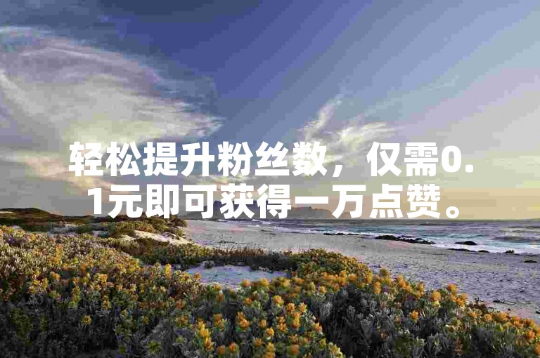 轻松提升粉丝数，仅需0.1元即可获得一万点赞。