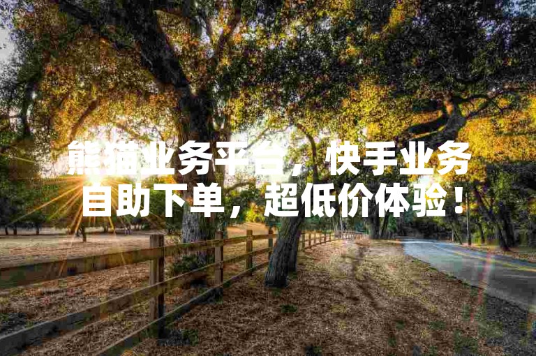 熊猫业务平台，快手业务自助下单，超低价体验！