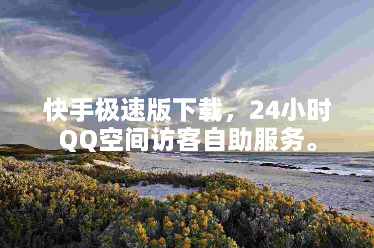 快手极速版下载，24小时QQ空间访客自助服务。
