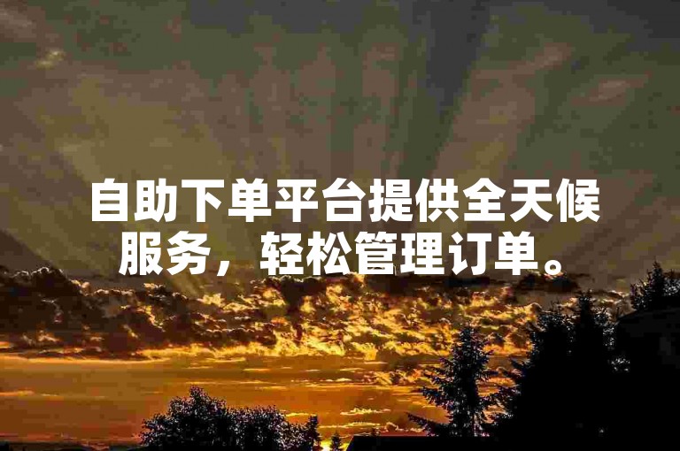 自助下单平台提供全天候服务，轻松管理订单。