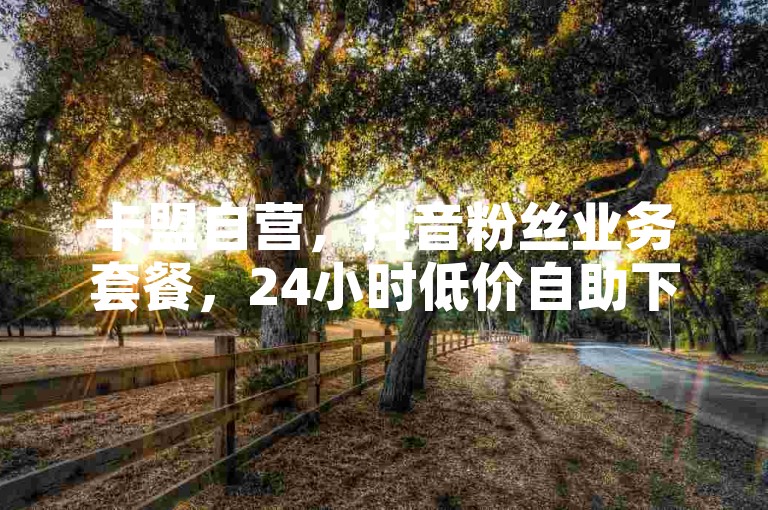 卡盟自营，抖音粉丝业务套餐，24小时低价自助下单。