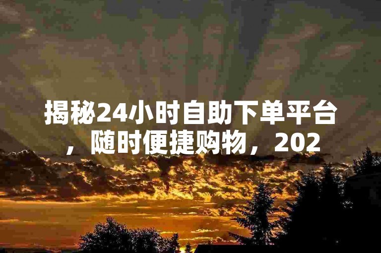 揭秘24小时自助下单平台，随时便捷购物，2025必备技能！