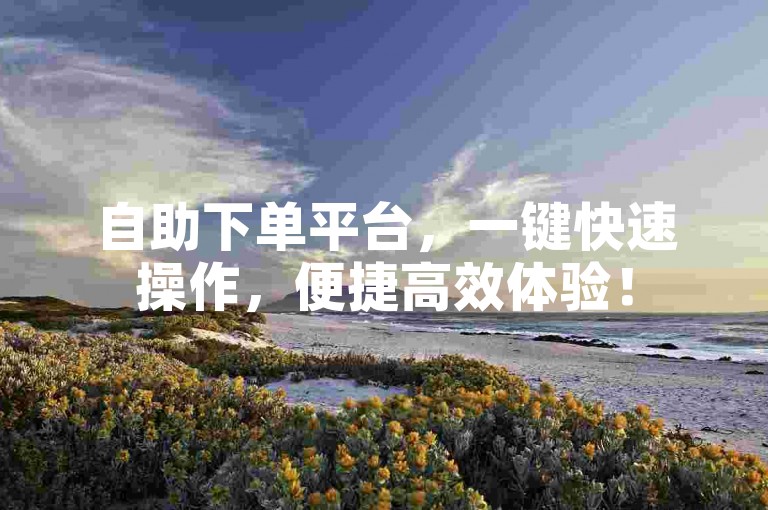 自助下单平台，一键快速操作，便捷高效体验！
