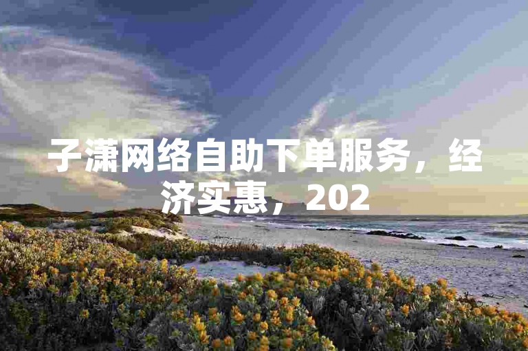 子潇网络自助下单服务，经济实惠，2025必备技能。
