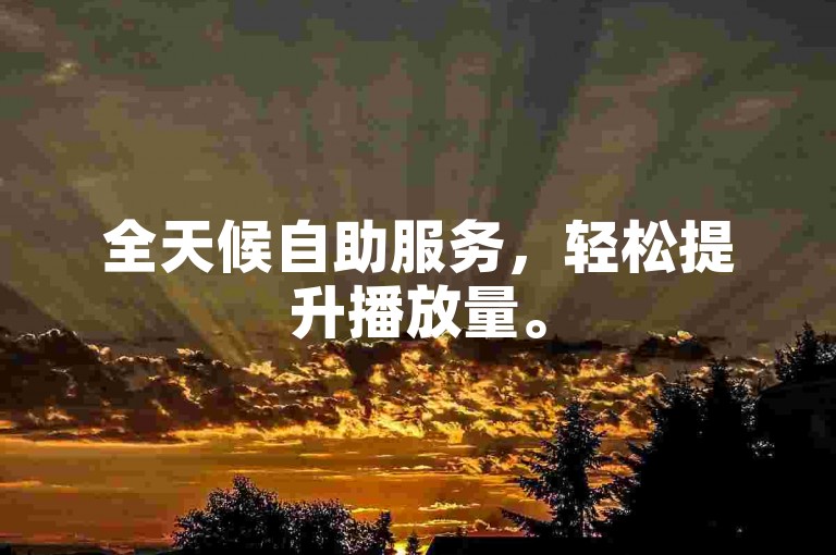 全天候自助服务，轻松提升播放量。