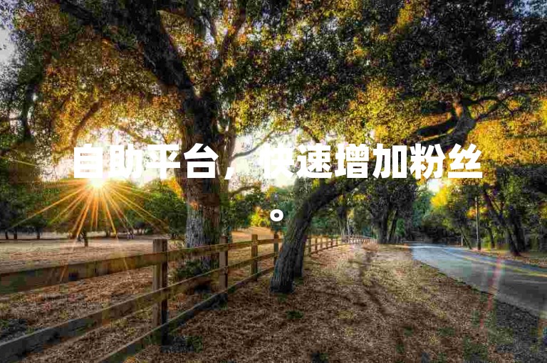 自助平台，快速增加粉丝。