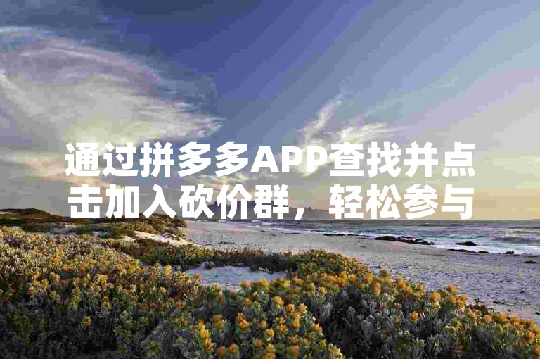通过拼多多APP查找并点击加入砍价群，轻松参与砍价活动。