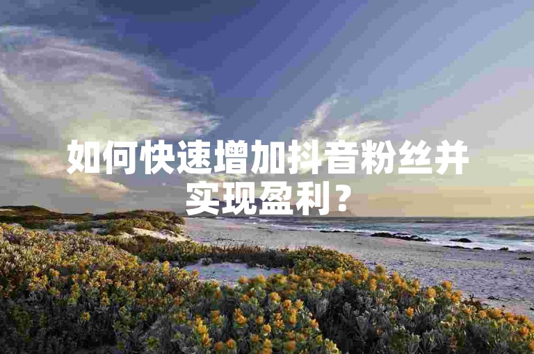 如何快速增加抖音粉丝并实现盈利？
