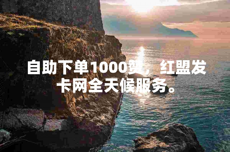 自助下单1000赞，红盟发卡网全天候服务。