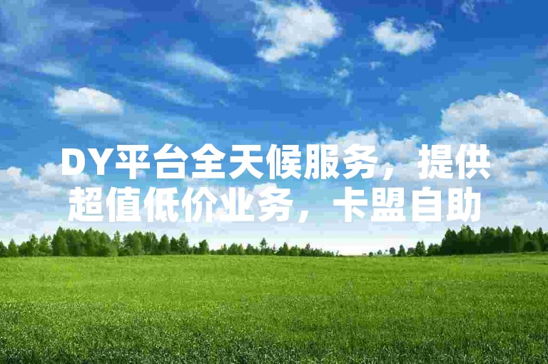 DY平台全天候服务，提供超值低价业务，卡盟自助下单更便捷。