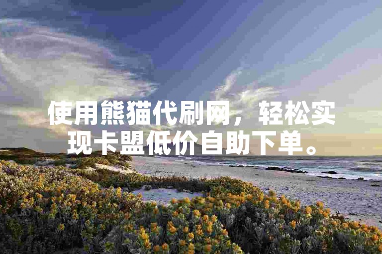 使用熊猫代刷网，轻松实现卡盟低价自助下单。