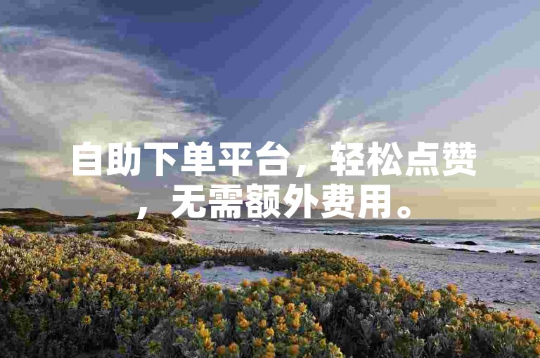 自助下单平台，轻松点赞，无需额外费用。