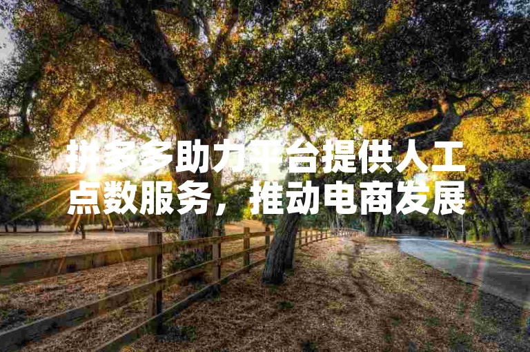 拼多多助力平台提供人工点数服务，推动电商发展新模式。