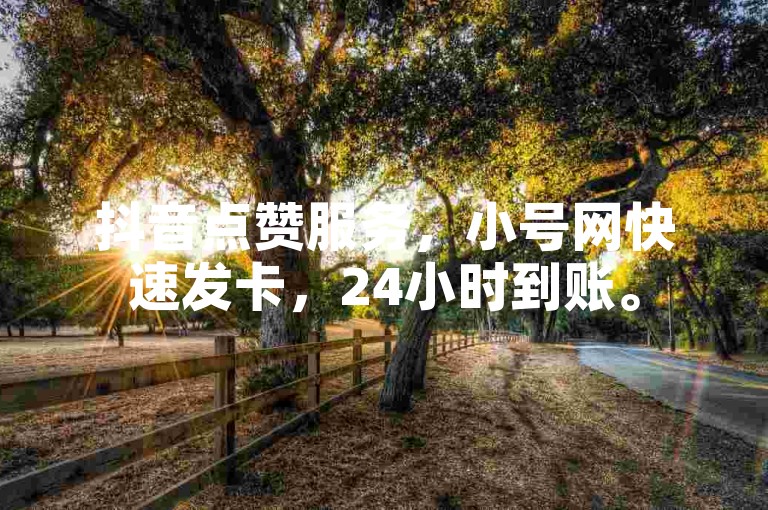抖音点赞服务，小号网快速发卡，24小时到账。