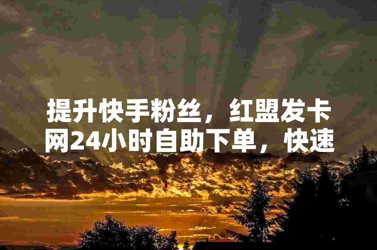 提升快手粉丝，红盟发卡网24小时自助下单，快速高效。