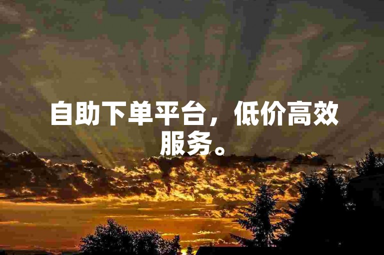 自助下单平台，低价高效服务。