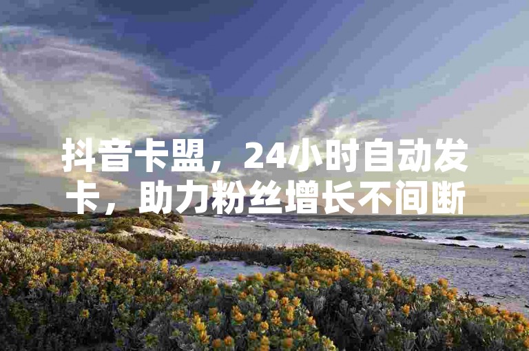 抖音卡盟，24小时自动发卡，助力粉丝增长不间断。