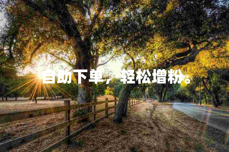 自助下单，轻松增粉。