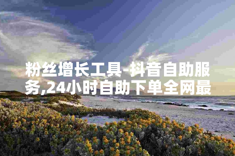 粉丝增长工具-抖音自助服务,24小时自助下单全网最优惠
