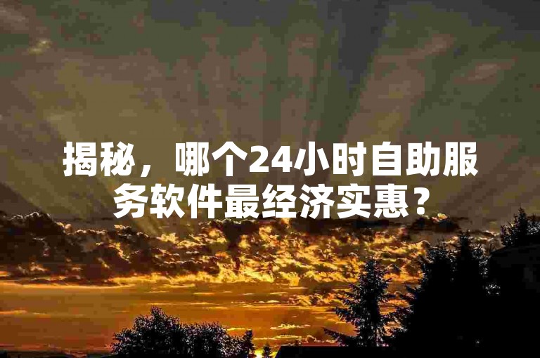 揭秘，哪个24小时自助服务软件最经济实惠？