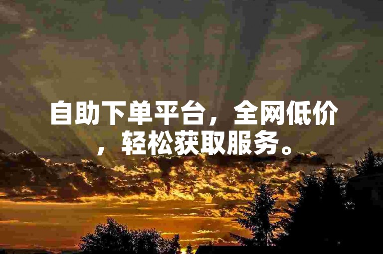 自助下单平台，全网低价，轻松获取服务。