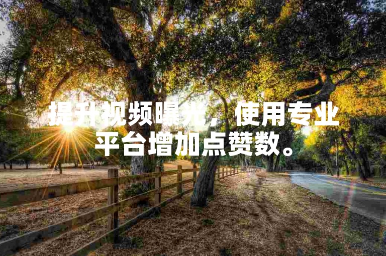 提升视频曝光，使用专业平台增加点赞数。