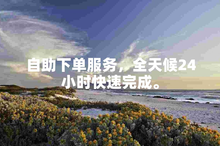 自助下单服务，全天候24小时快速完成。