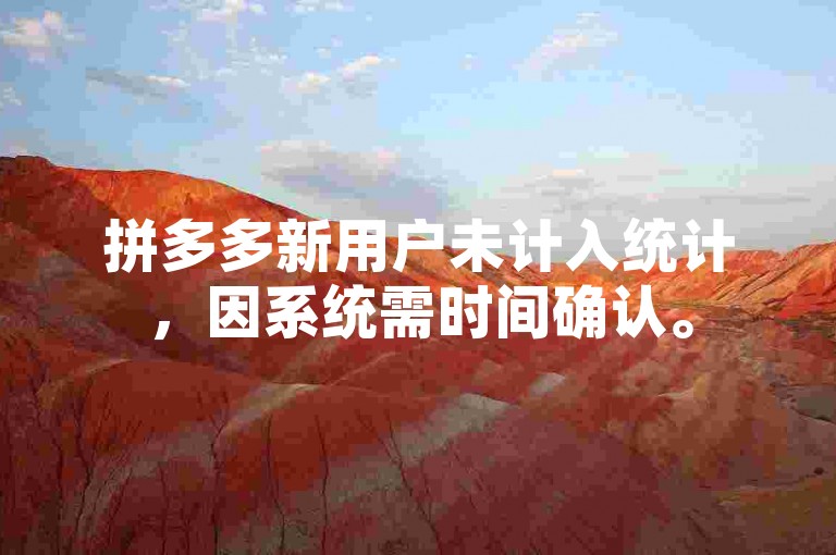 拼多多新用户未计入统计，因系统需时间确认。