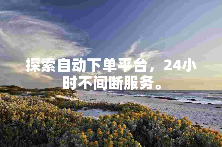 探索自动下单平台，24小时不间断服务。