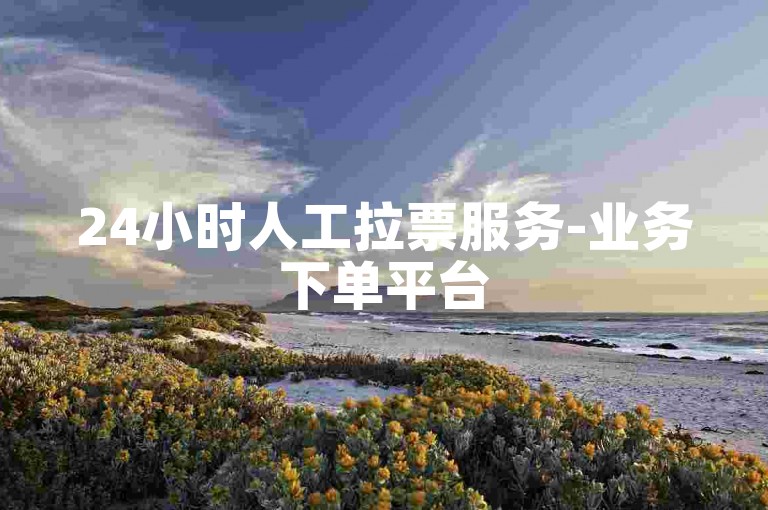 24小时人工拉票服务-业务下单平台