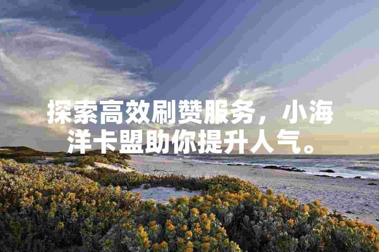 探索高效刷赞服务，小海洋卡盟助你提升人气。