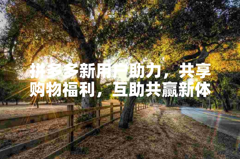 拼多多新用户助力，共享购物福利，互助共赢新体验。