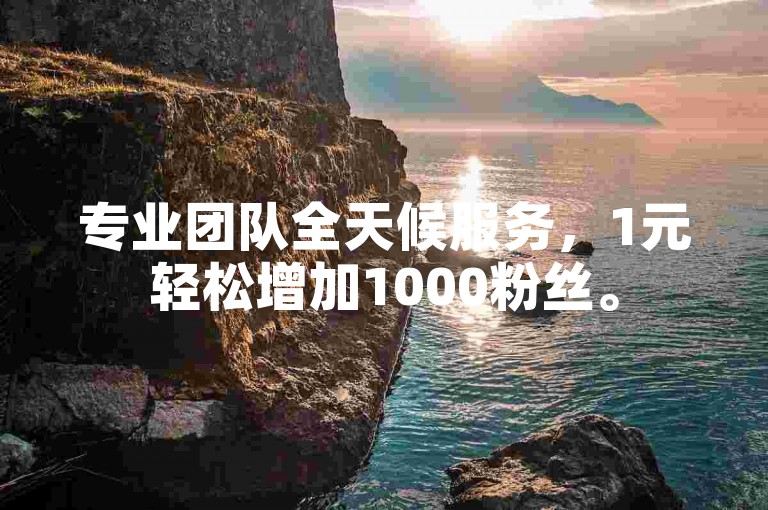 专业团队全天候服务，1元轻松增加1000粉丝。