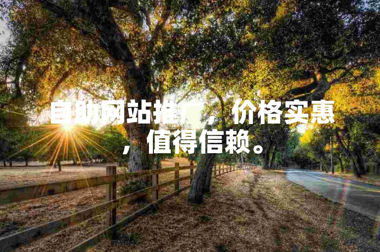 自助网站推广，价格实惠，值得信赖。