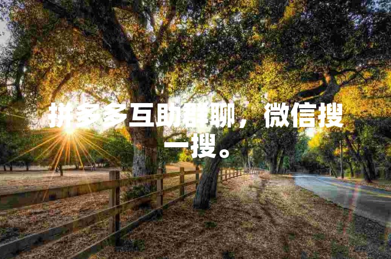 拼多多互助群聊，微信搜一搜。