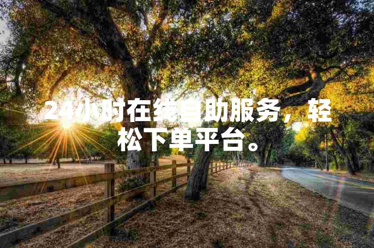 24小时在线自助服务，轻松下单平台。