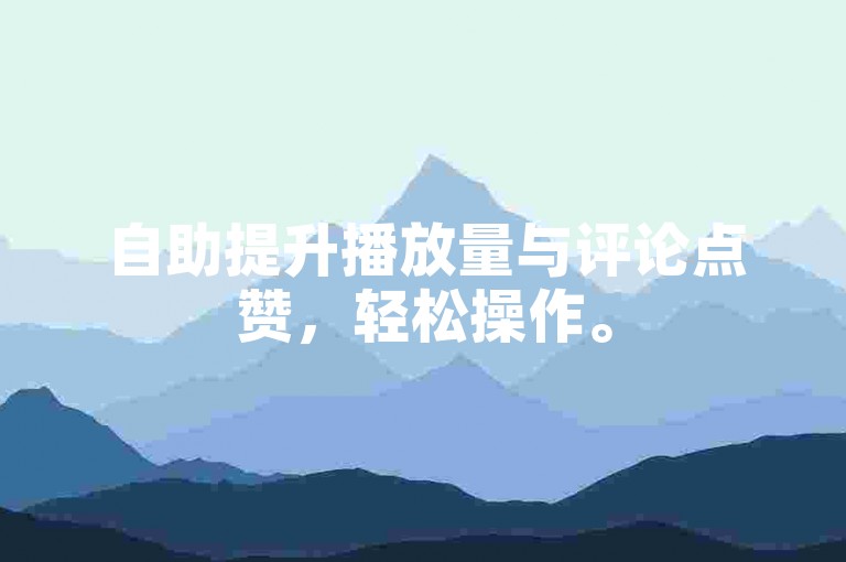 自助提升播放量与评论点赞，轻松操作。