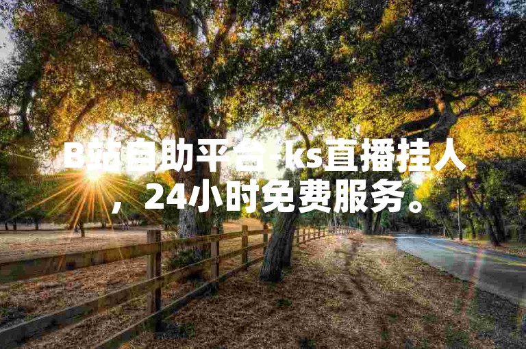 B站自助平台-ks直播挂人，24小时免费服务。