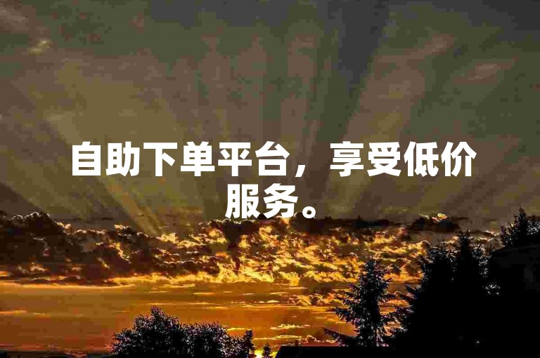 自助下单平台，享受低价服务。