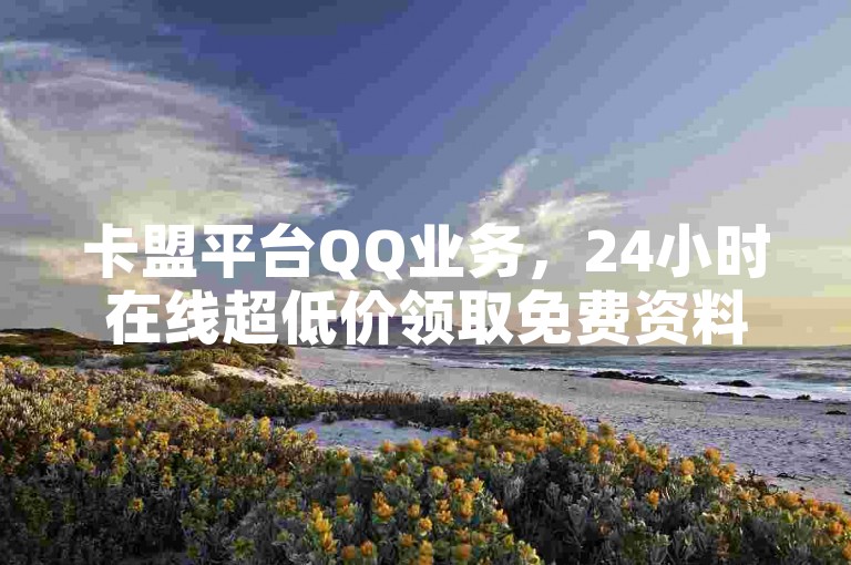 卡盟平台QQ业务，24小时在线超低价领取免费资料卡。