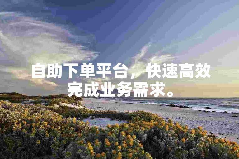 自助下单平台，快速高效完成业务需求。