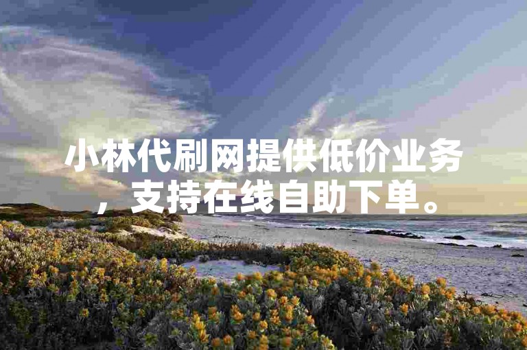小林代刷网提供低价业务，支持在线自助下单。