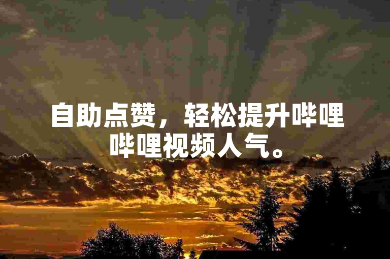 自助点赞，轻松提升哔哩哔哩视频人气。